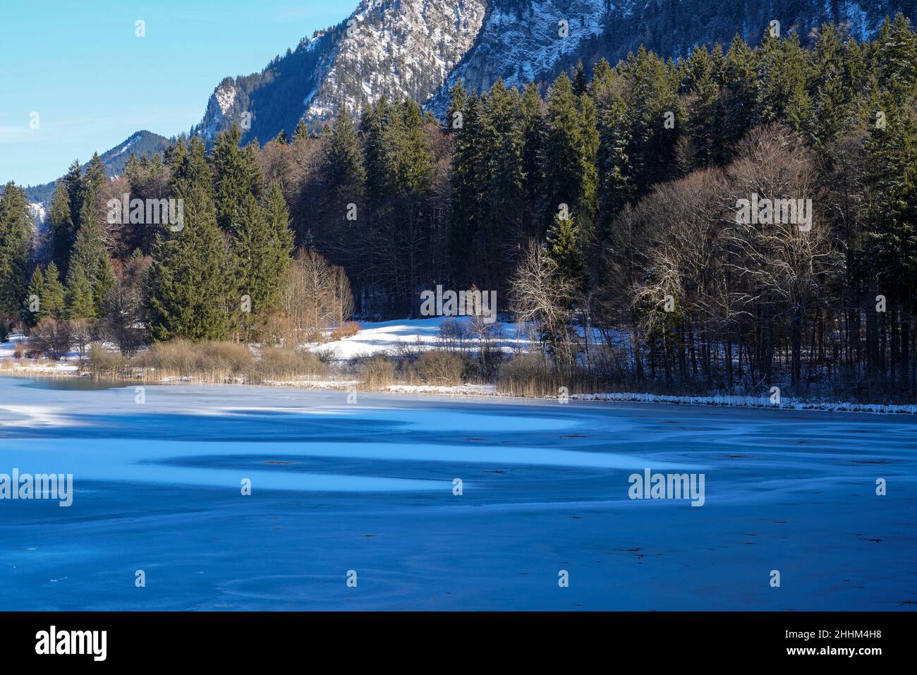Winterlandschaft am eisbedeckten Alpsee in Schwangau, Bayern. Stockfoto