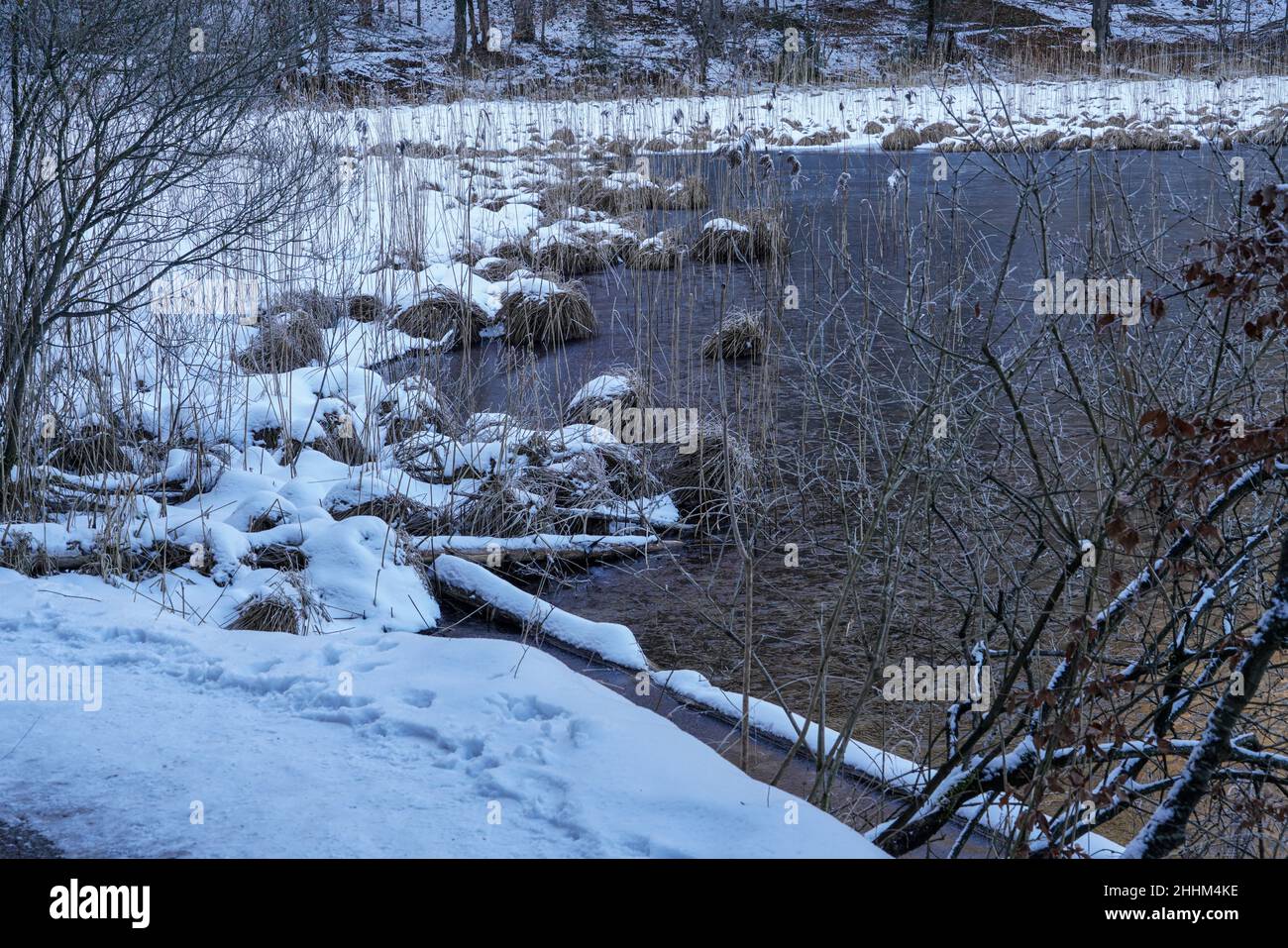 Winterlandschaft am Ufer des teilweise eisbedeckten Alpsees in Schwangau, Bayern. Stockfoto