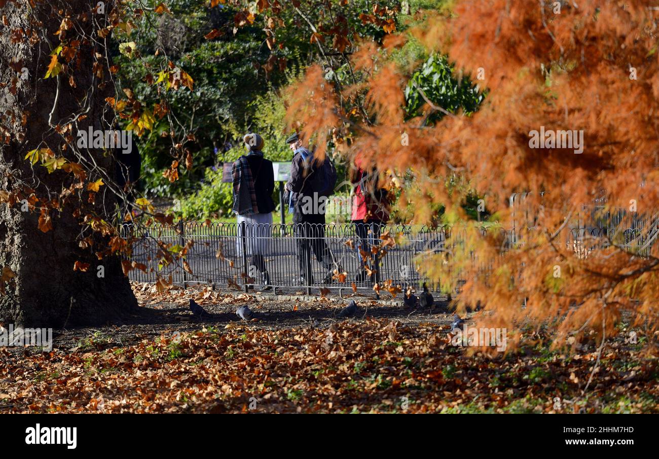 London, England, Großbritannien. Menschen, die im Herbst im St James's Park spazieren gehen Stockfoto