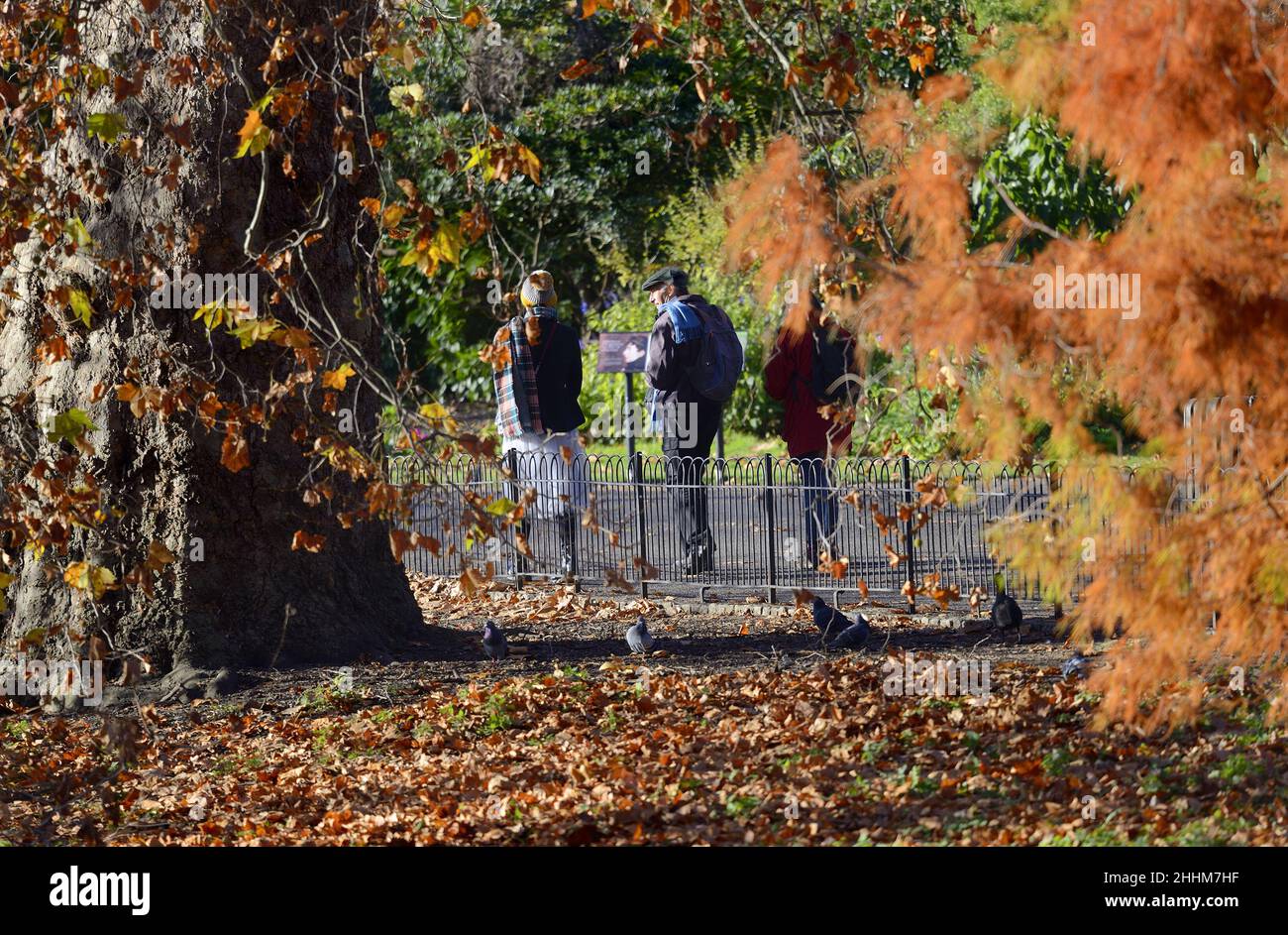 London, England, Großbritannien. Menschen, die im Herbst im St James's Park spazieren gehen Stockfoto