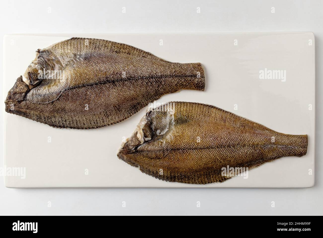 Flachfisch auf weißem Hintergrund Stockfoto