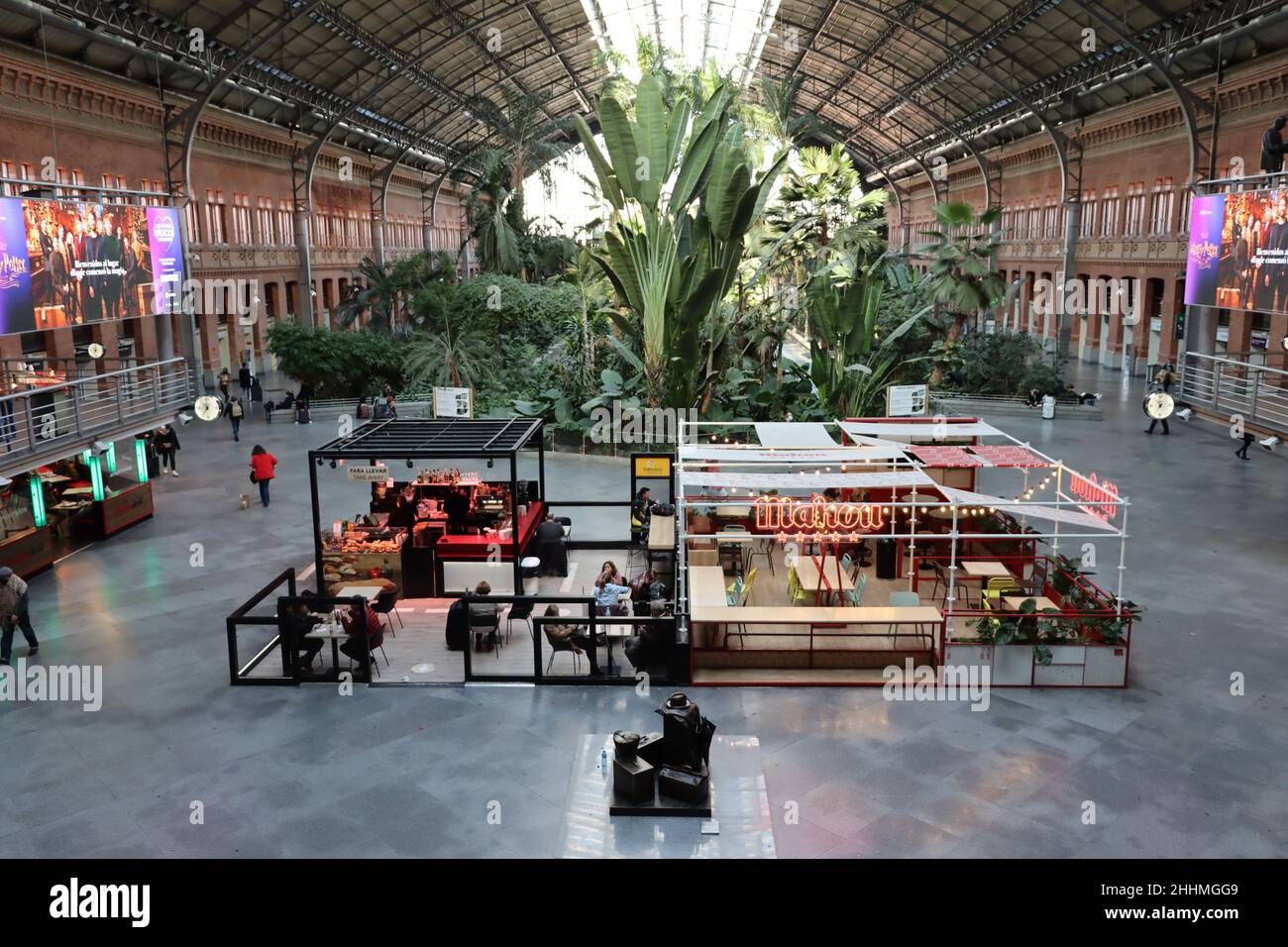 Atocha Bahnhof tropischer Garten, Madrid Stockfoto