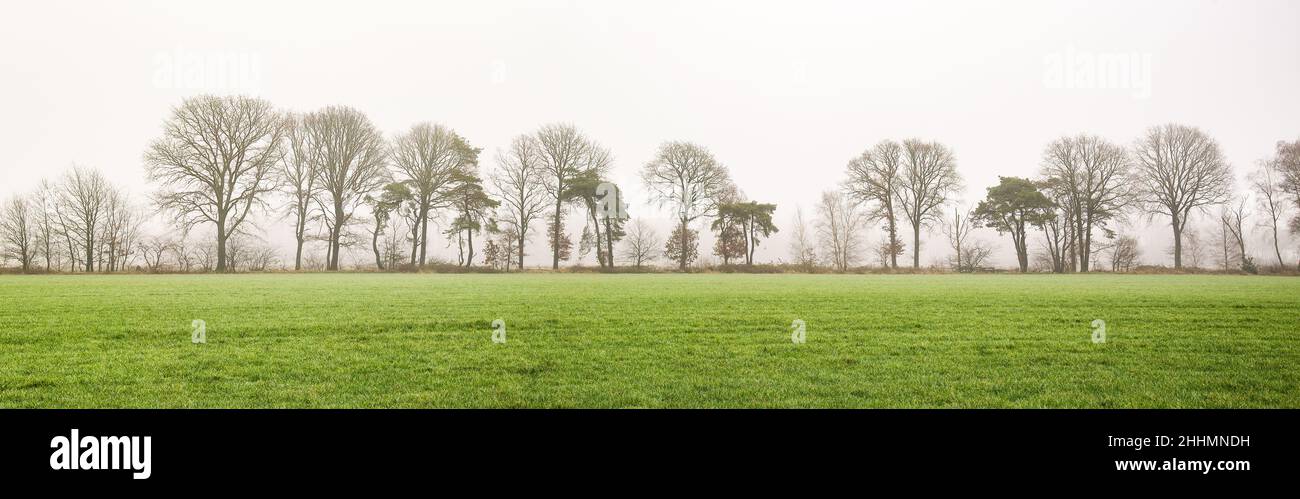 Panoramablick auf die flache Farmlandschaft im Osten Hollands Stockfoto