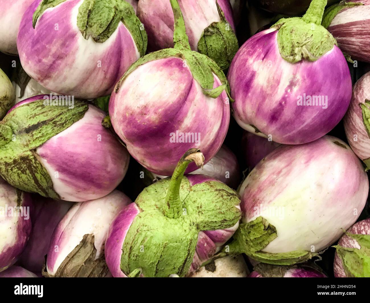 Nahaufnahme eines Stapels von bunten Auberginen-Sorten Rosa Bianca. Stockfoto