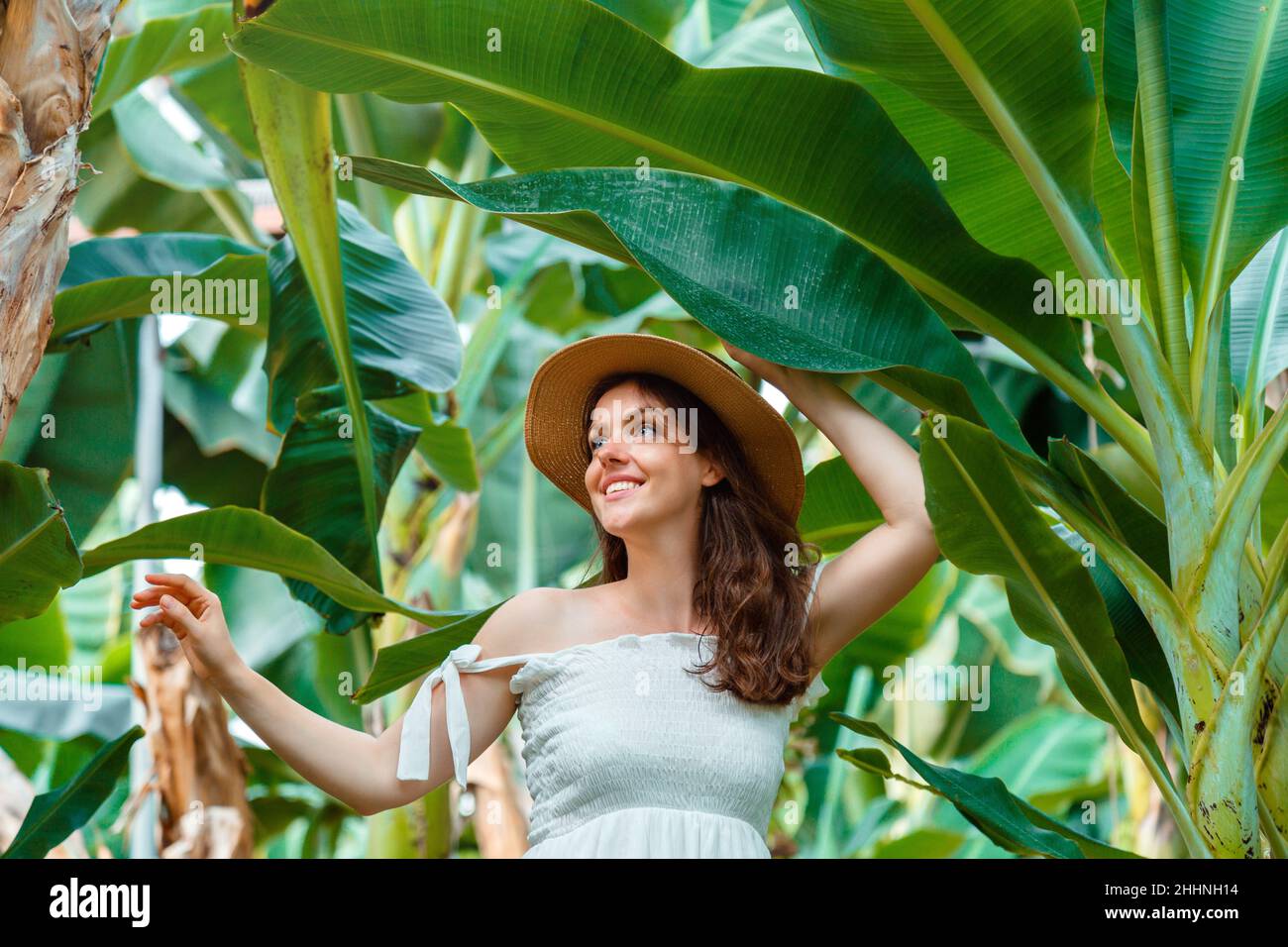 Schöne Frau Reisende Porträt in Kleid und Hut Spaziergänge in Banana Plantage, tropischen Garten, Dschungel oder Bauernhof. Grüner Tourismus, exotische Früchte Banane Stockfoto