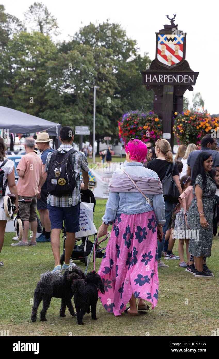 Rückansicht einer auffälligen erwachsenen kaukasischen Frau mit rosa Haaren und rosa Kleid, die den Hund läuft. Exzentrischer lebensstil britischer Menschen, Hertfordshire, Großbritannien Stockfoto