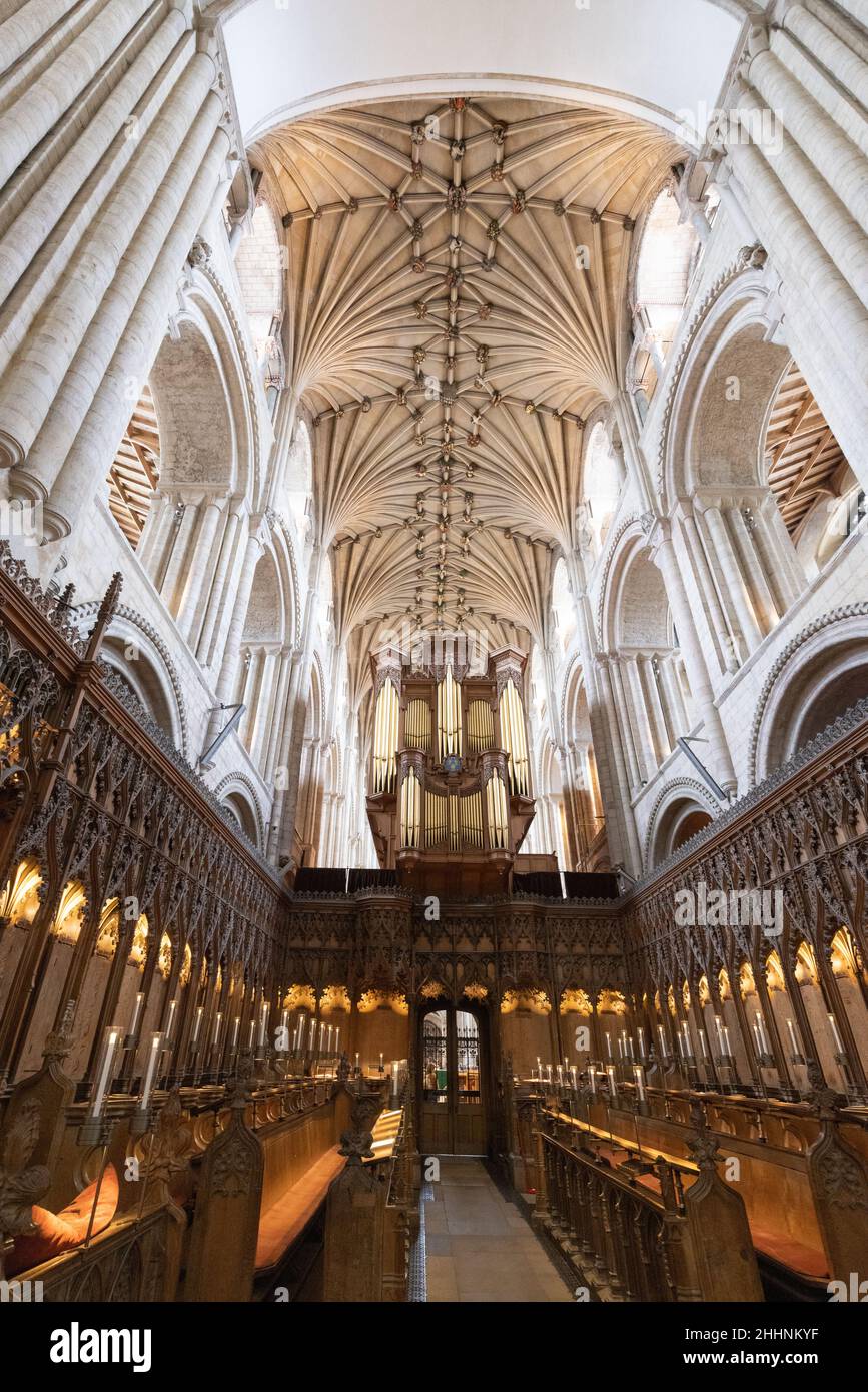 Kathedralen UK; Norwich Cathedral interior UK; der Chor, die Orgel und die Decke, Norwich, Norfolk UK Stockfoto