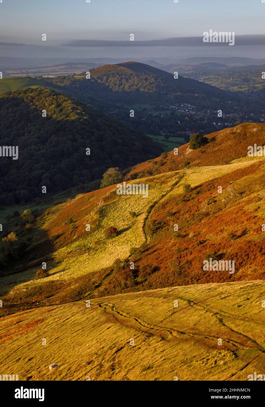 Blick von Caradoc, Long Mynd, Shropshire Hills. VEREINIGTES KÖNIGREICH Stockfoto