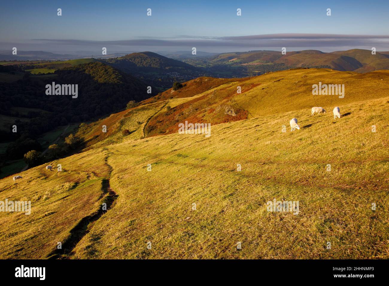 Blick von Caradoc, Long Mynd, Shropshire Hills. VEREINIGTES KÖNIGREICH Stockfoto