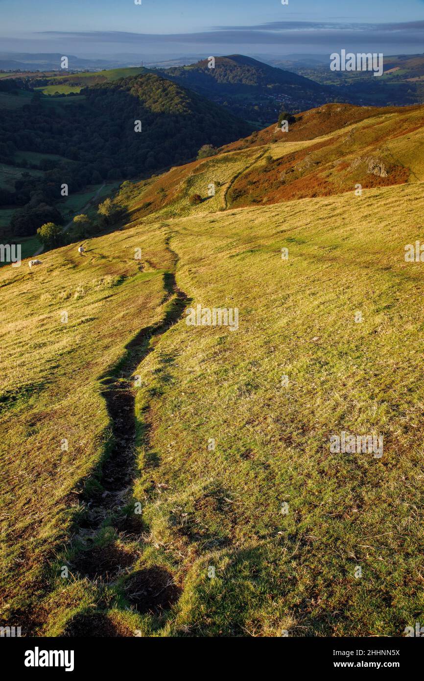 Blick von Caradoc, Long Mynd, Shropshire Hills. VEREINIGTES KÖNIGREICH Stockfoto