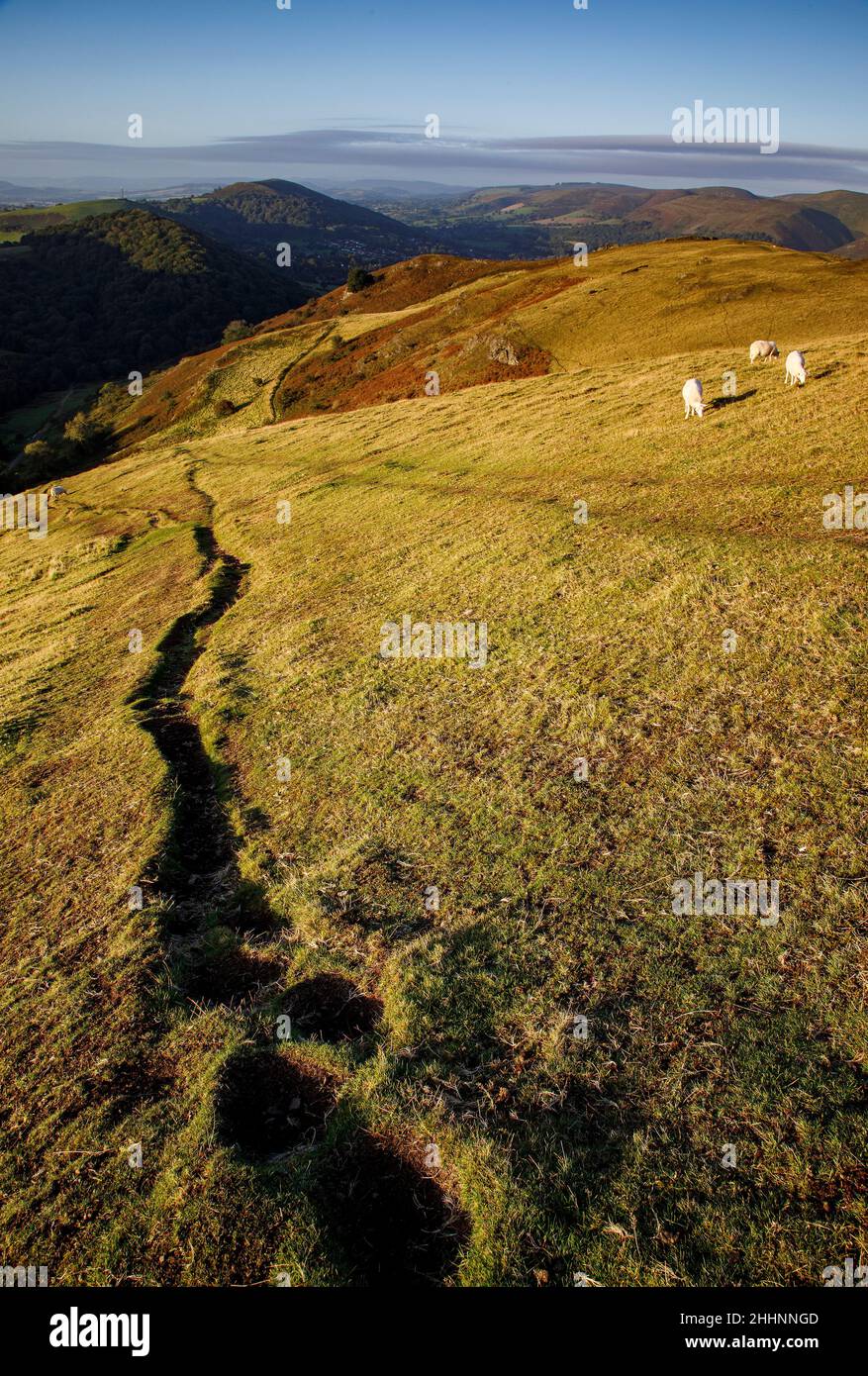 Blick von Caradoc, Long Mynd, Shropshire Hills. VEREINIGTES KÖNIGREICH Stockfoto