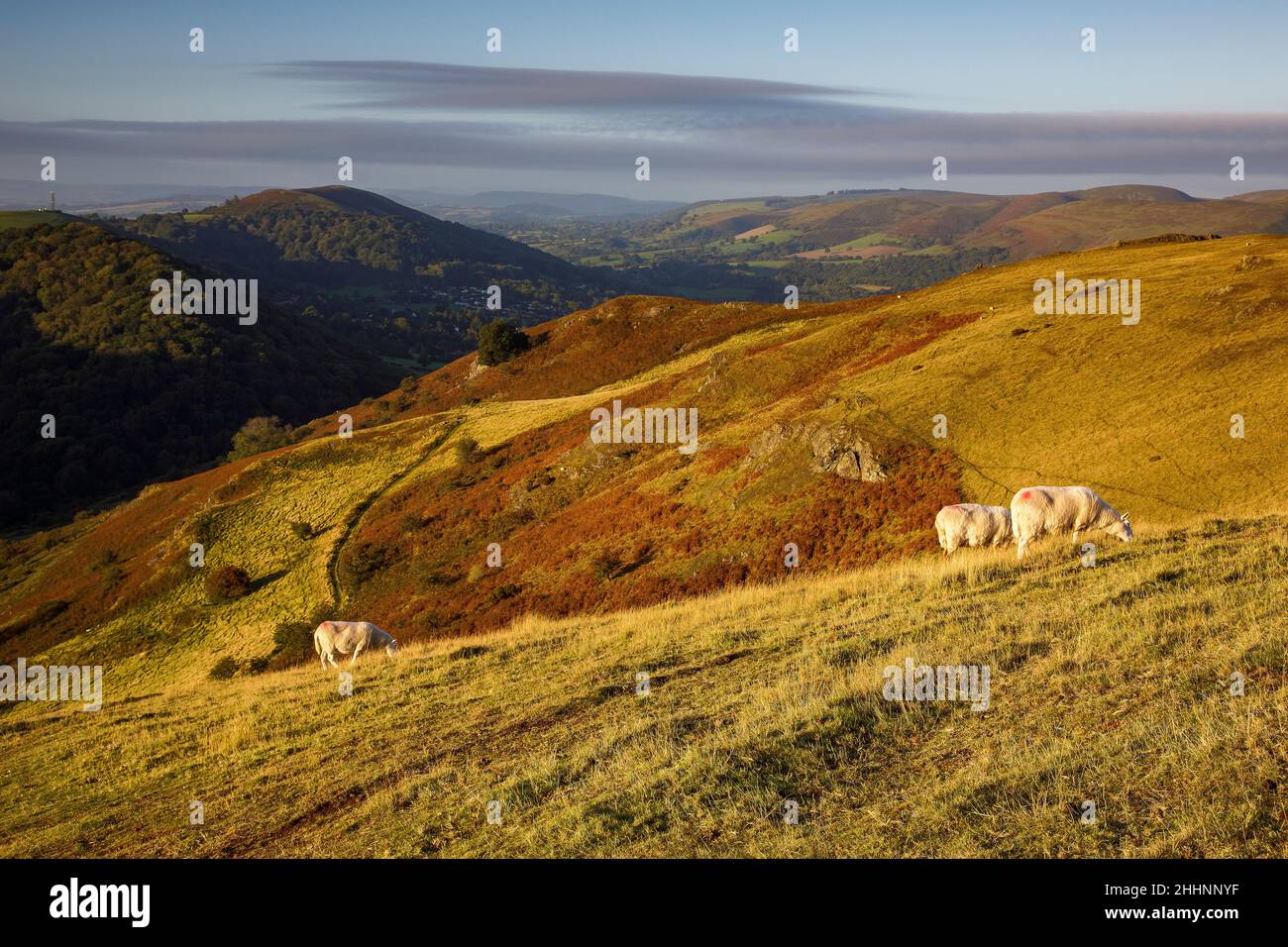 Blick von Caradoc, Long Mynd, Shropshire Hills. VEREINIGTES KÖNIGREICH Stockfoto