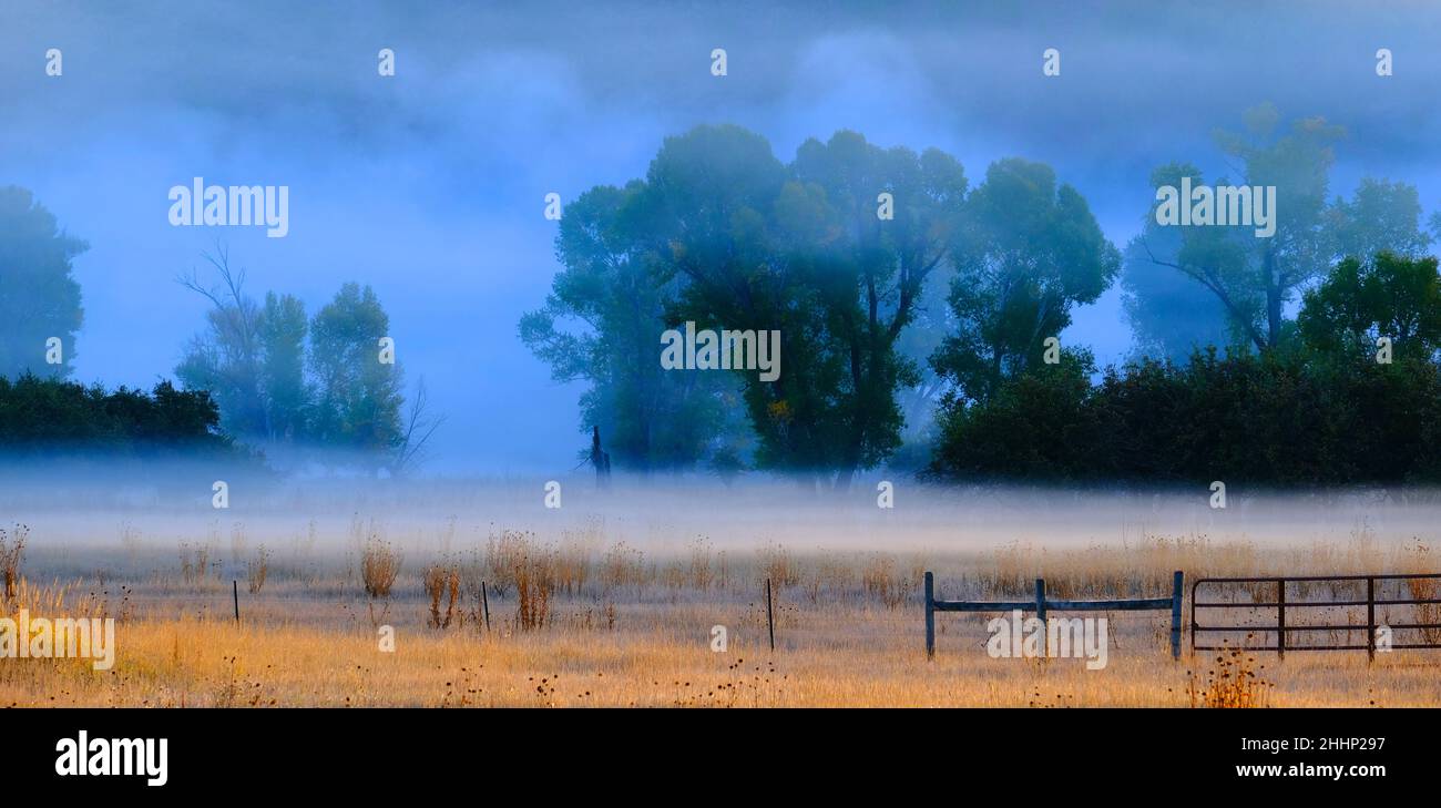 Landschaftlich schöner Blick auf die neblige Talwiese mit Bäumen und Morgensonne Stockfoto