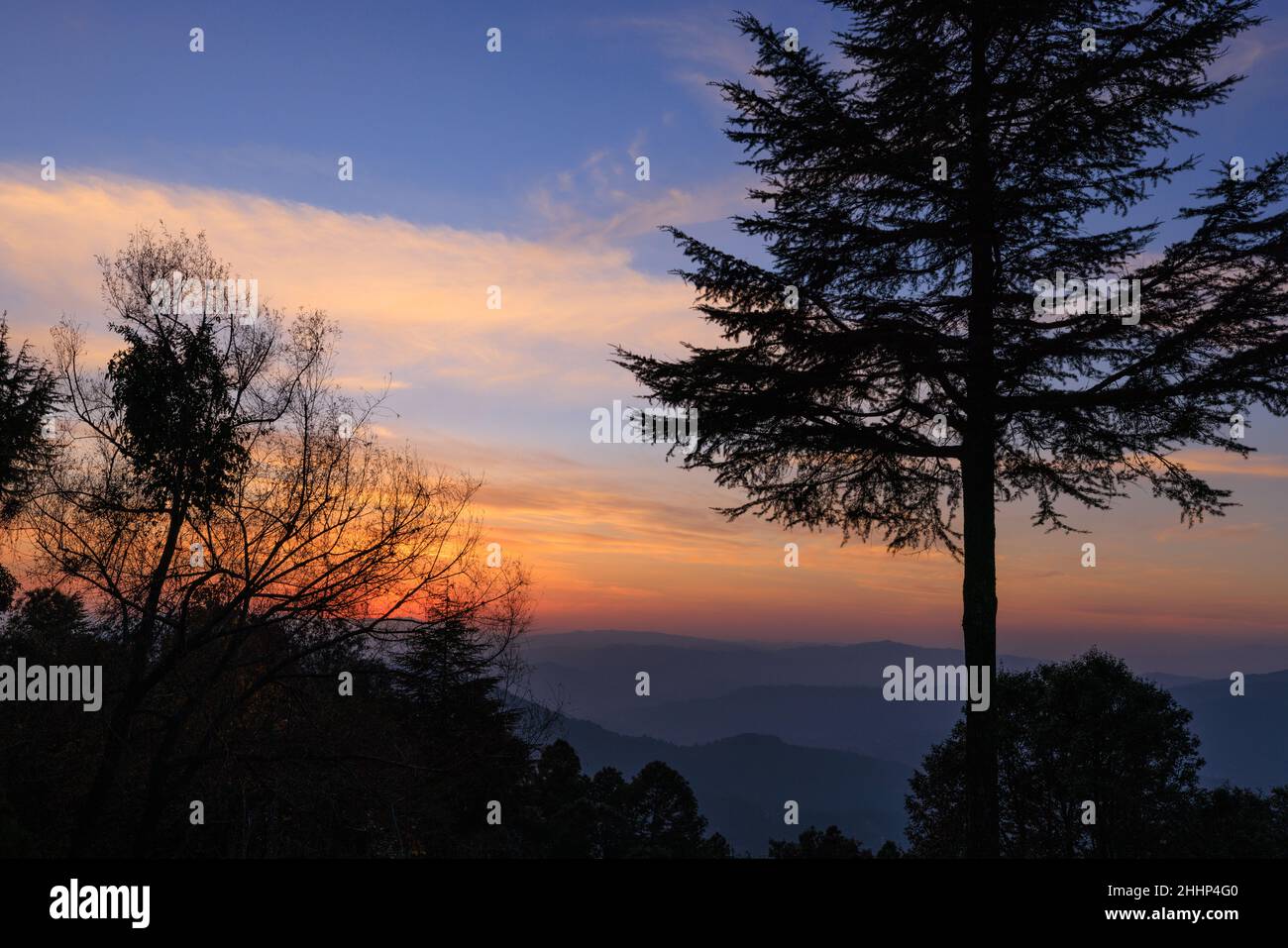 Sonnenuntergang im Binsar Wildlife Sanctuary (Uttarakhand, Indien) Stockfoto