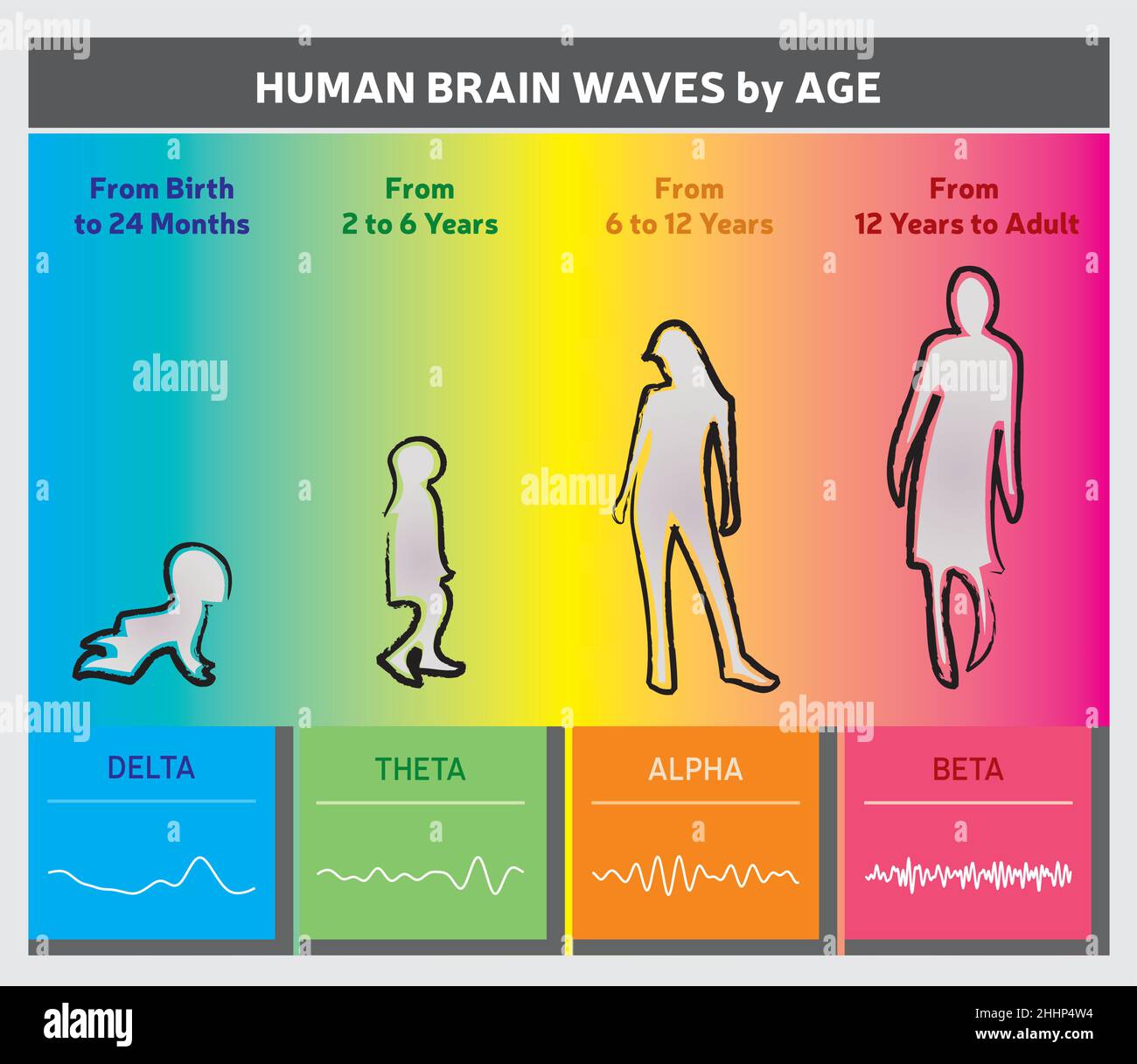 Menschliche Gehirnwellen nach Alter Diagramm - Menschen Silhouetten - Regenbogenfarben Stock Vektor