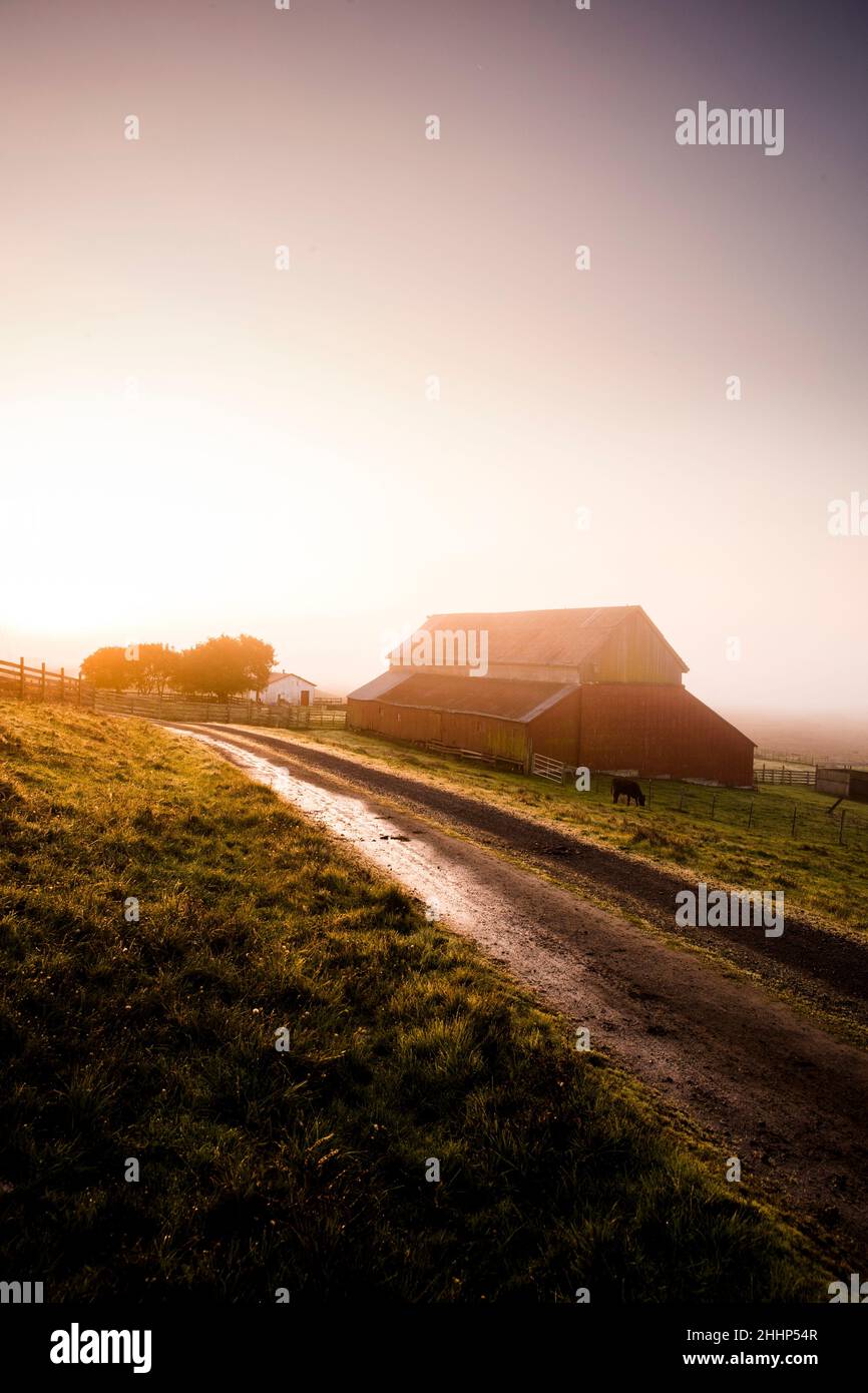 Red Barn on Farm in Petaluma, Kalifornien Stockfoto