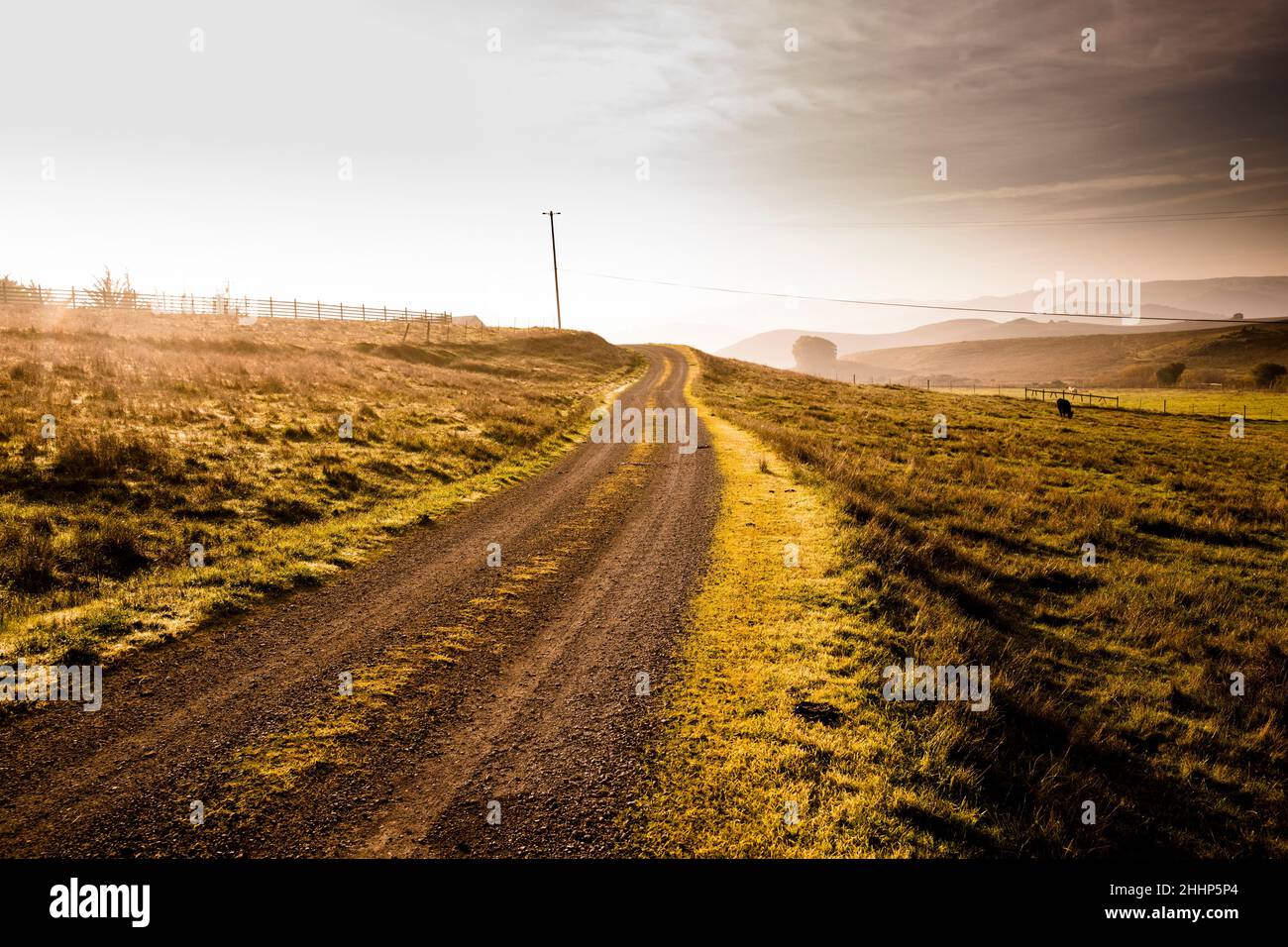 Gravel Road im Land in Petaluma, Kalifornien Stockfoto