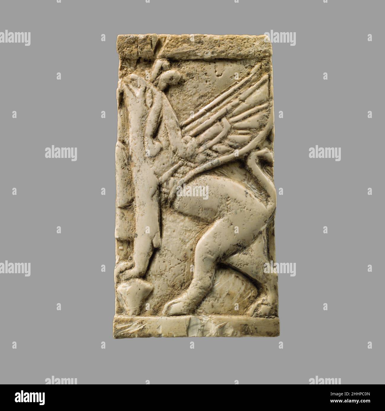 Plaque mit Gripin ca. 8th.–7th. Jahrhundert v. Chr. Assyrisch Dieses kleine Stück Elfenbein ist in einem niedrigen Relief mit dem Bild eines Greiflins geschnitzt, einer fantastischen Kreatur, die den Körper eines Löwen mit dem Kopf eines Greifvogels kombiniert, dargestellt mit oder ohne Flügel. Der Greif ruht seine Vorderbeine auf einer pflanzenähnlichen Form, die aus der Grundlinie steigt und seinen Kopf hebt, vielleicht um am oberen Teil der Pflanze zu grasen, was ursprünglich auf der nebenstehenden Plakette links abgebildet worden sein könnte. Geschnitzte Elfenbeinstücke wie diese wurden in der Produktion von Elite-Möbeln im frühen ersten Jahrtausend weit verbreitet Stockfoto