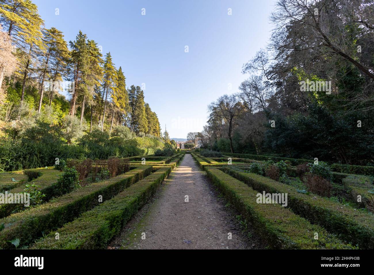 National Forest of the Seven Hills in Tomar (Thomar), Portugal Stockfoto