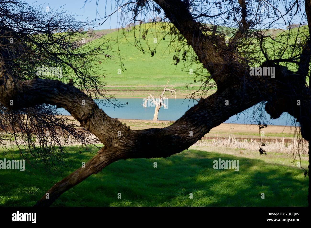 Still Standing Stockfoto