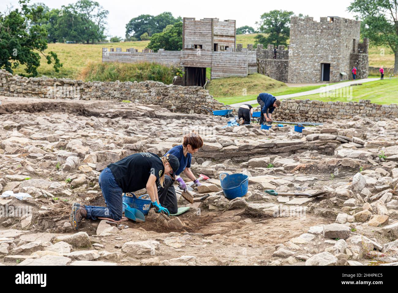 Archäologen graben in Vindolanda römischen Hilfsfestung in Chesterholm, Northumberland UK Stockfoto