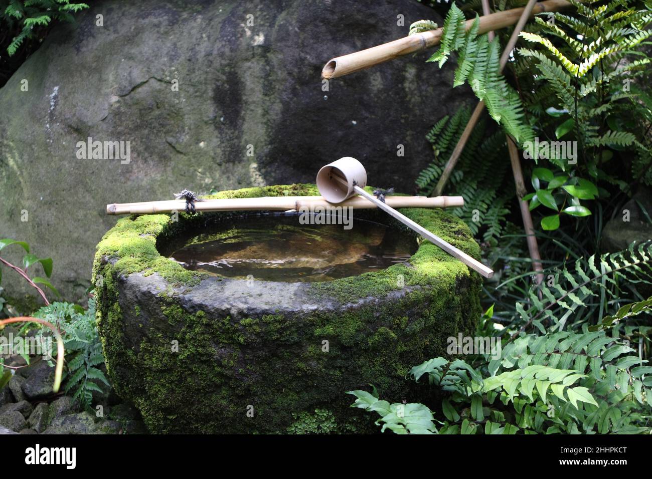 Japanische Teezeremonie Werkzeuge in der Natur Stockfoto