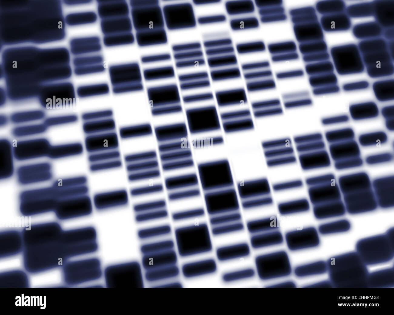 Ein Western-Blot, ein Gentest, ein Screening auf Gene oder Proteine Stockfoto