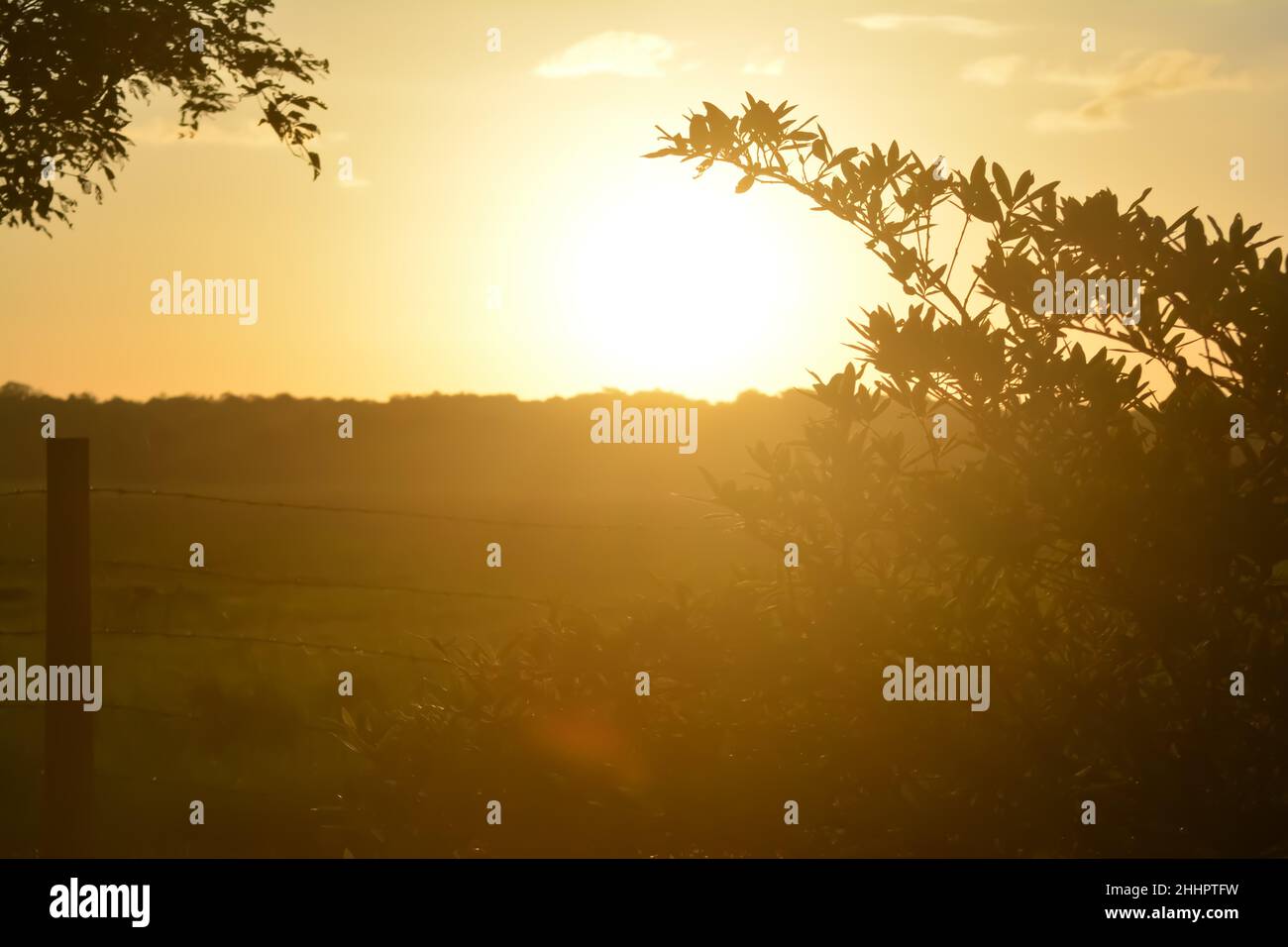 Nebliger Morgenaufgang am See Stockfoto
