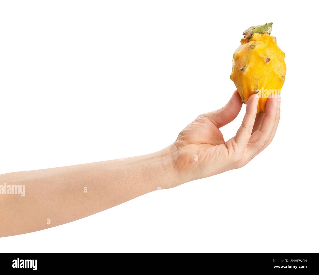 Gelbe Drachenfrucht im Handweg isoliert auf weiß Stockfoto