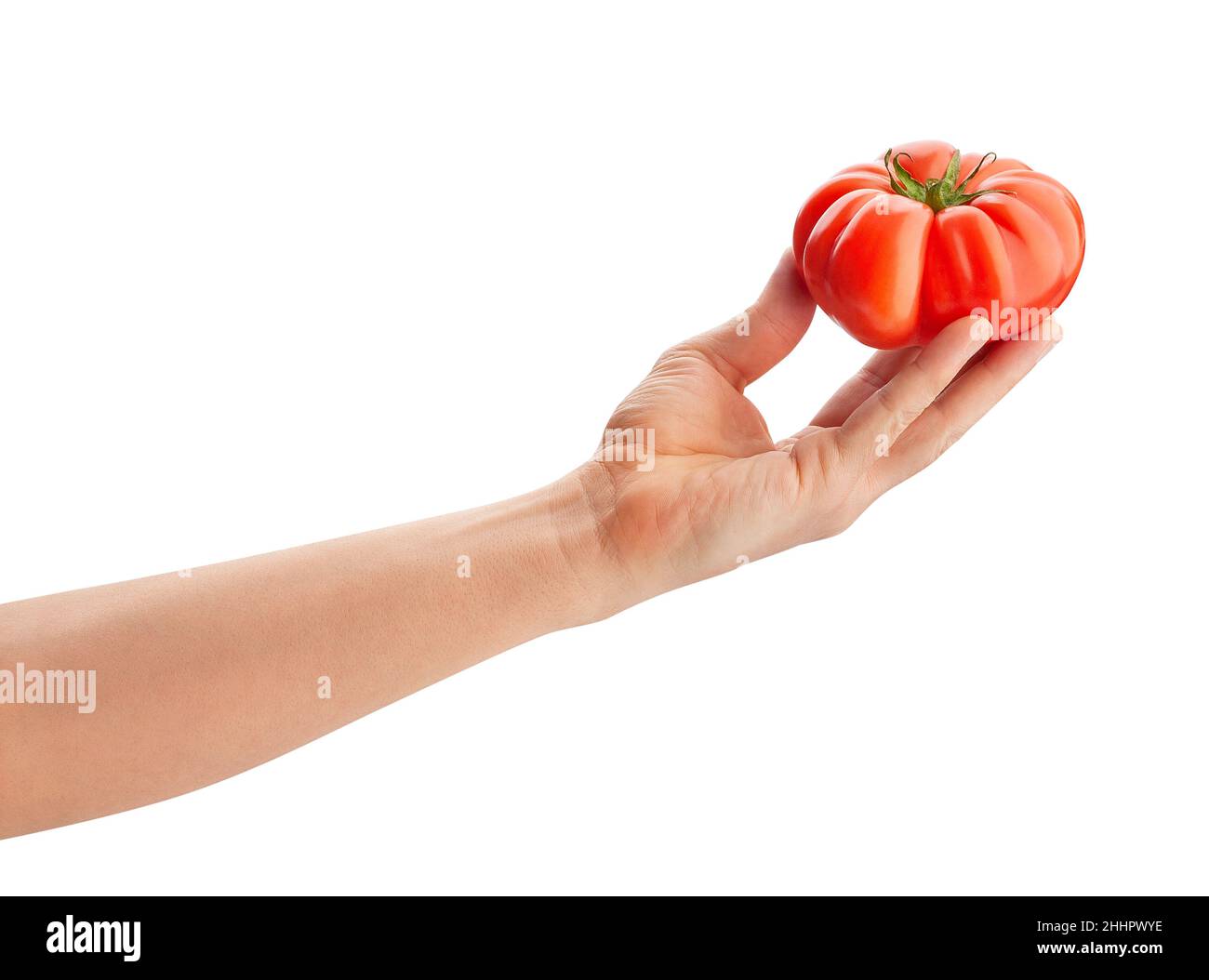 Rosa Tomate in die Hand weg isoliert auf weißem Stockfoto