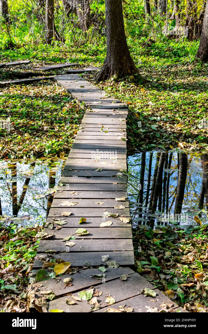 Holzbrücke aus Brettern über den Fluss im Wald. Abgefallene Blätter auf grünem Gras. Selektiver Fokus. Stockfoto