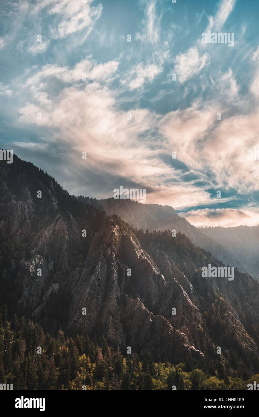 Cottonwood Canyon Stockfoto