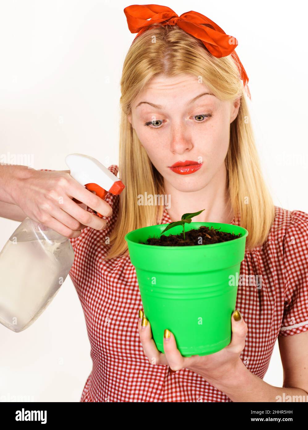 Gartenarbeit und Pflege von heimischen Pflanzen. Schönes Mädchen sprüht Zitronenbaum mit Wasser aus Sprühflasche. Stockfoto