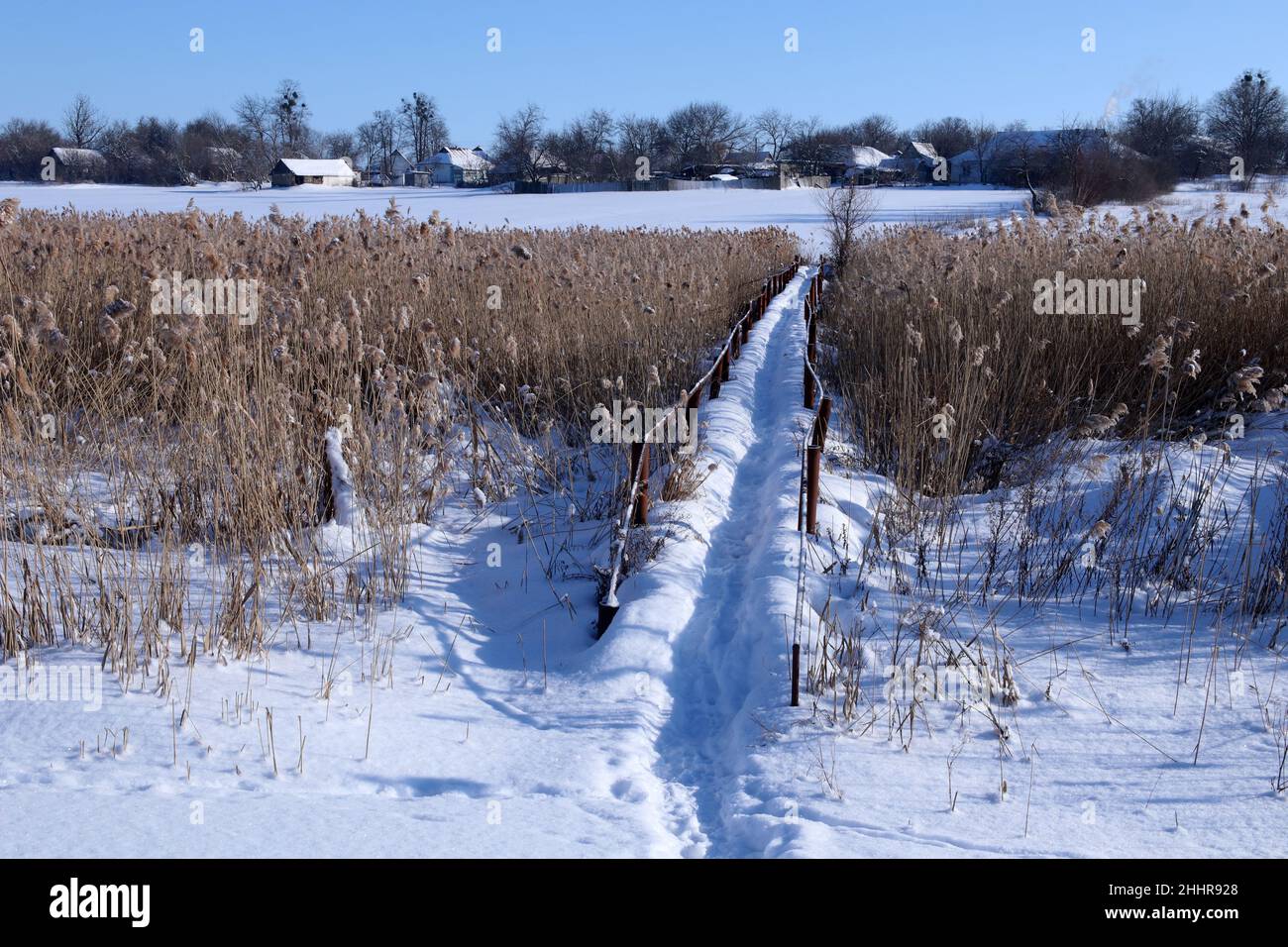 Schneebedeckte Fußgängerbrücke über den Fluss. Der Fluss ist mit Schilf überwuchert. Stockfoto