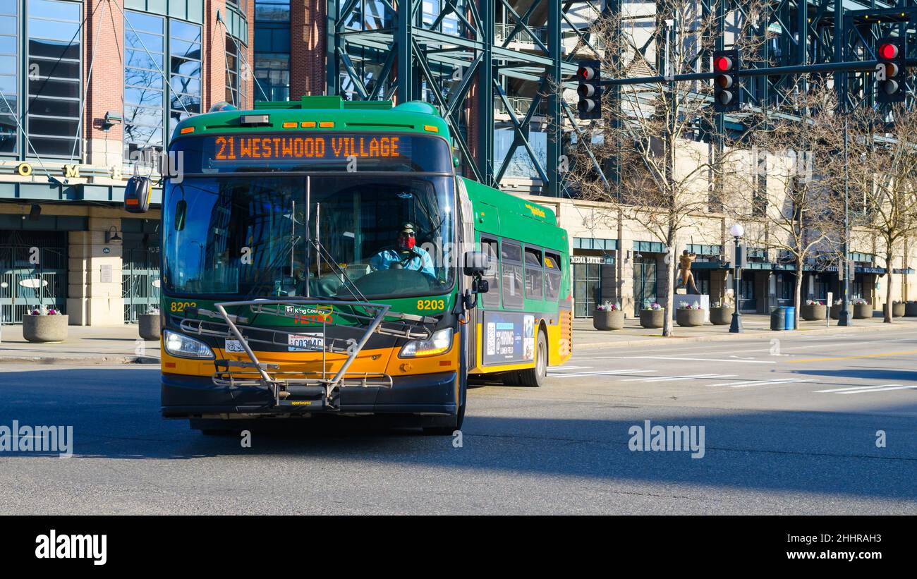 Seattle - 22. Januar 2022; artikulierter Metro-Bus in Seattle um eine Ecke fahren die öffentlichen Verkehrsmittel auf der Route 24 nach Westwood Village Stockfoto
