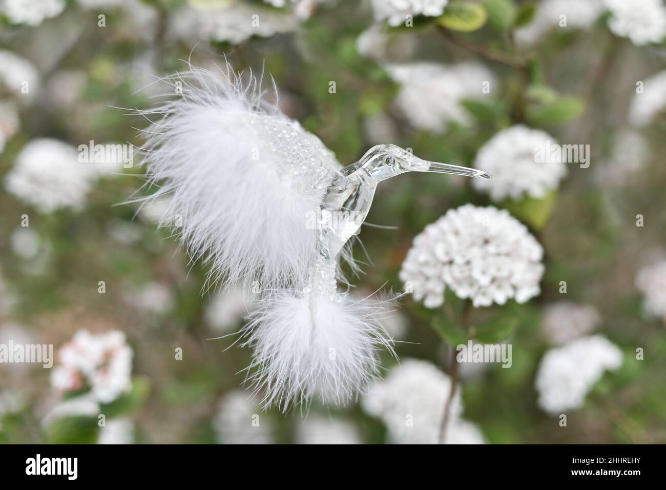 Ein Kolibri sammelt Nektar im Frühjahr Stockfoto