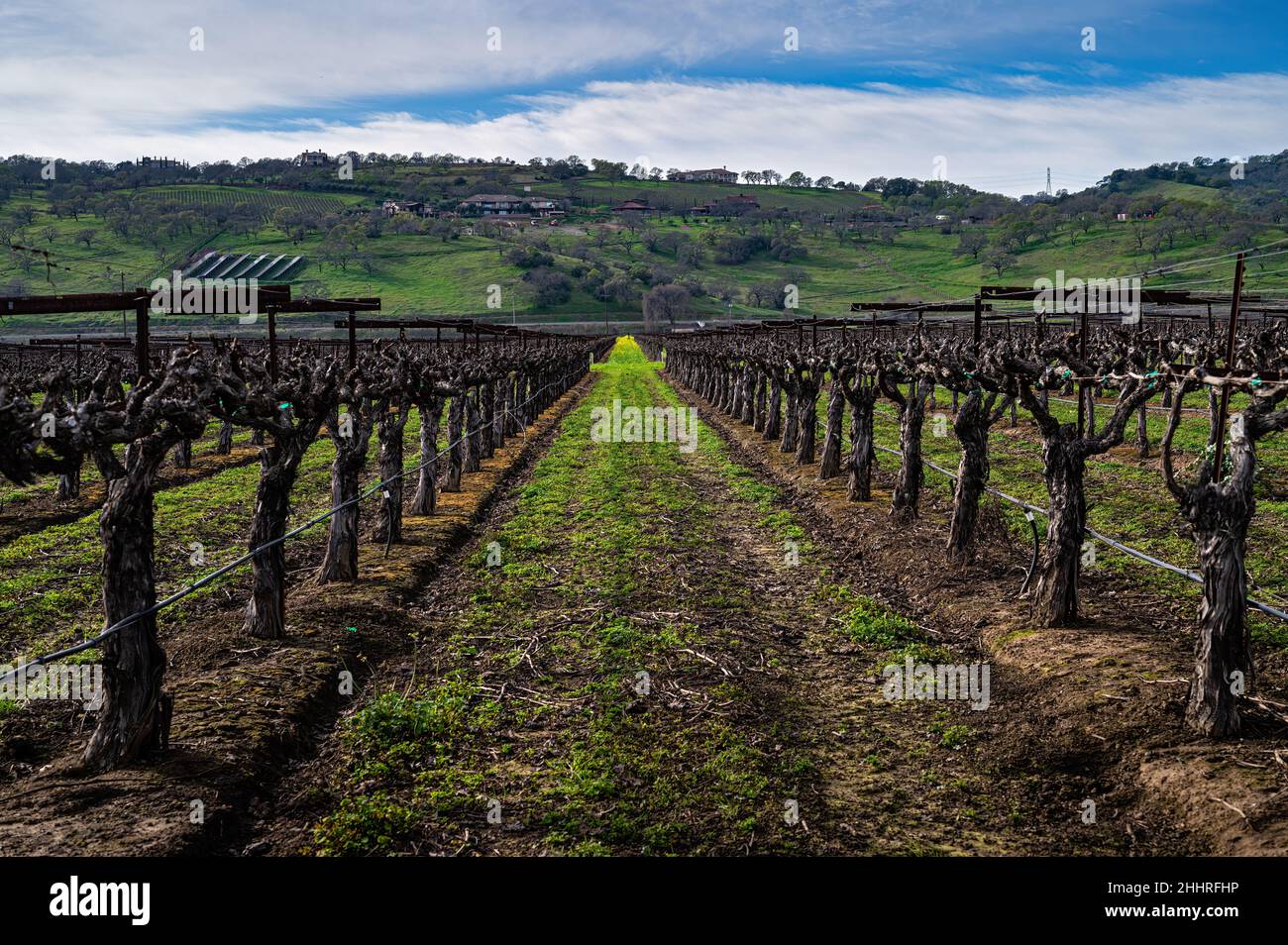 Weingut in Suisun Valley, Kalifornien Stockfoto