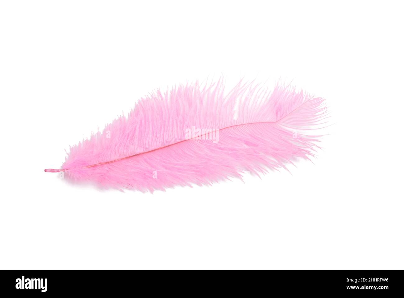 Flauschige Feder in rosa Farbe isoliert auf dem Weiß Stockfoto