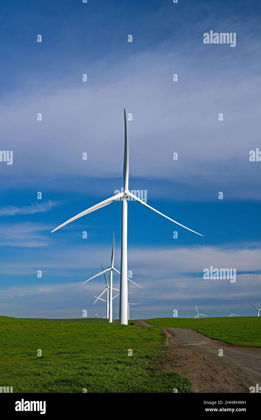 Shiloh Wind Farm, Nordkalifornien Stockfoto