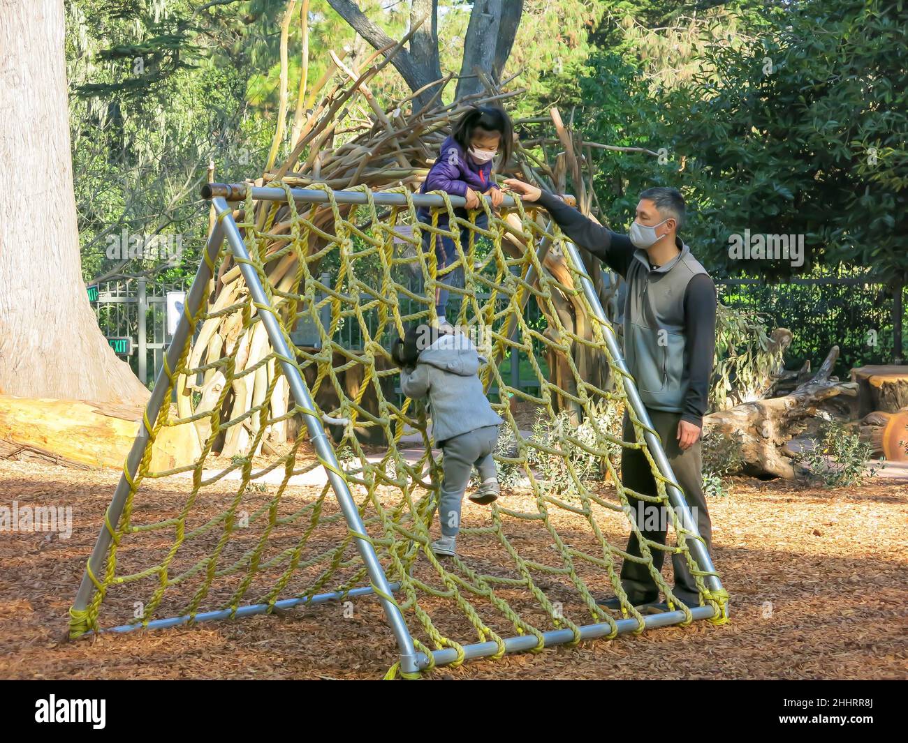 Children at Play at Wander Woods Exhibit, California Academy of Sciences, San Francisco Stockfoto