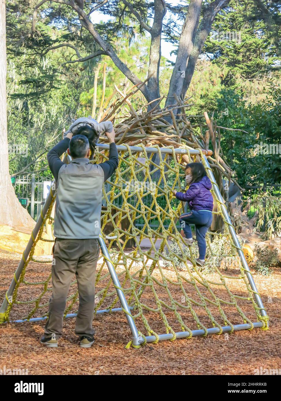 Children at Play at Wander Woods Exhibit, California Academy of Sciences, San Francisco Stockfoto