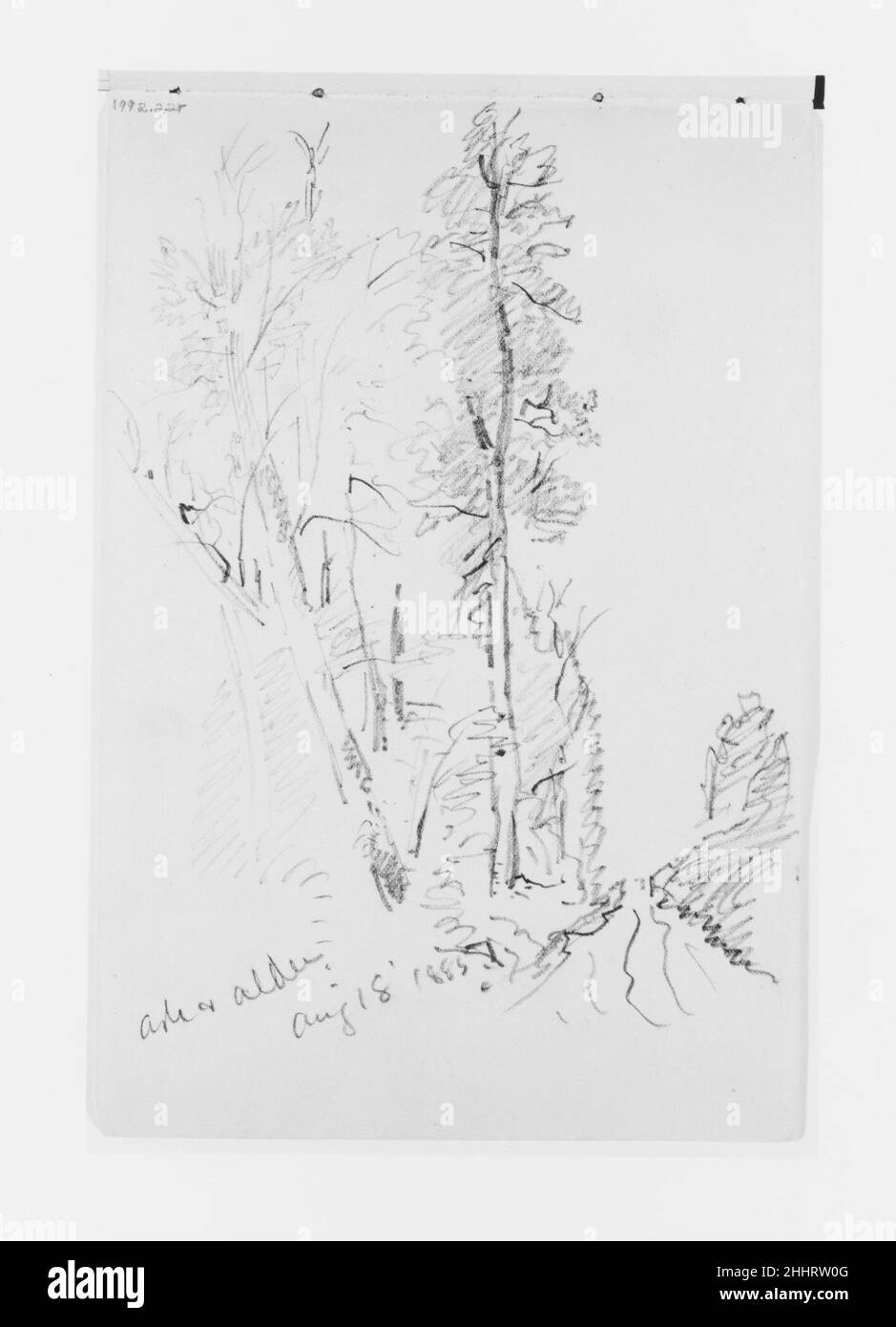 Ash and Alder Aug 18 1885 (aus Skizzenbuch X) 1885 William Trost Richards American Dieses Skizzenbuch enthält 51 Zeichnungen in Graphit und Tinte, hauptsächlich von Landschaften des pazifischen Nordwestens und Meeresmotive. Die Ergänzung der Sammlung dieses und eines weiteren Skizzenbuches (1992,2.1) von New England und Pennsylvania über Landschaft und Meeresmotive durch Richards ergänzt die Palette der grafischen Leistungen des Künstlers nahezu. Die Bücher sind bemerkenswert sowohl für hochgearbeitete Kompositionen als auch für Seiten mit schnellen Notizen, die wahrscheinlich bei Spaziergängen durch das Land entstanden sind Stockfoto