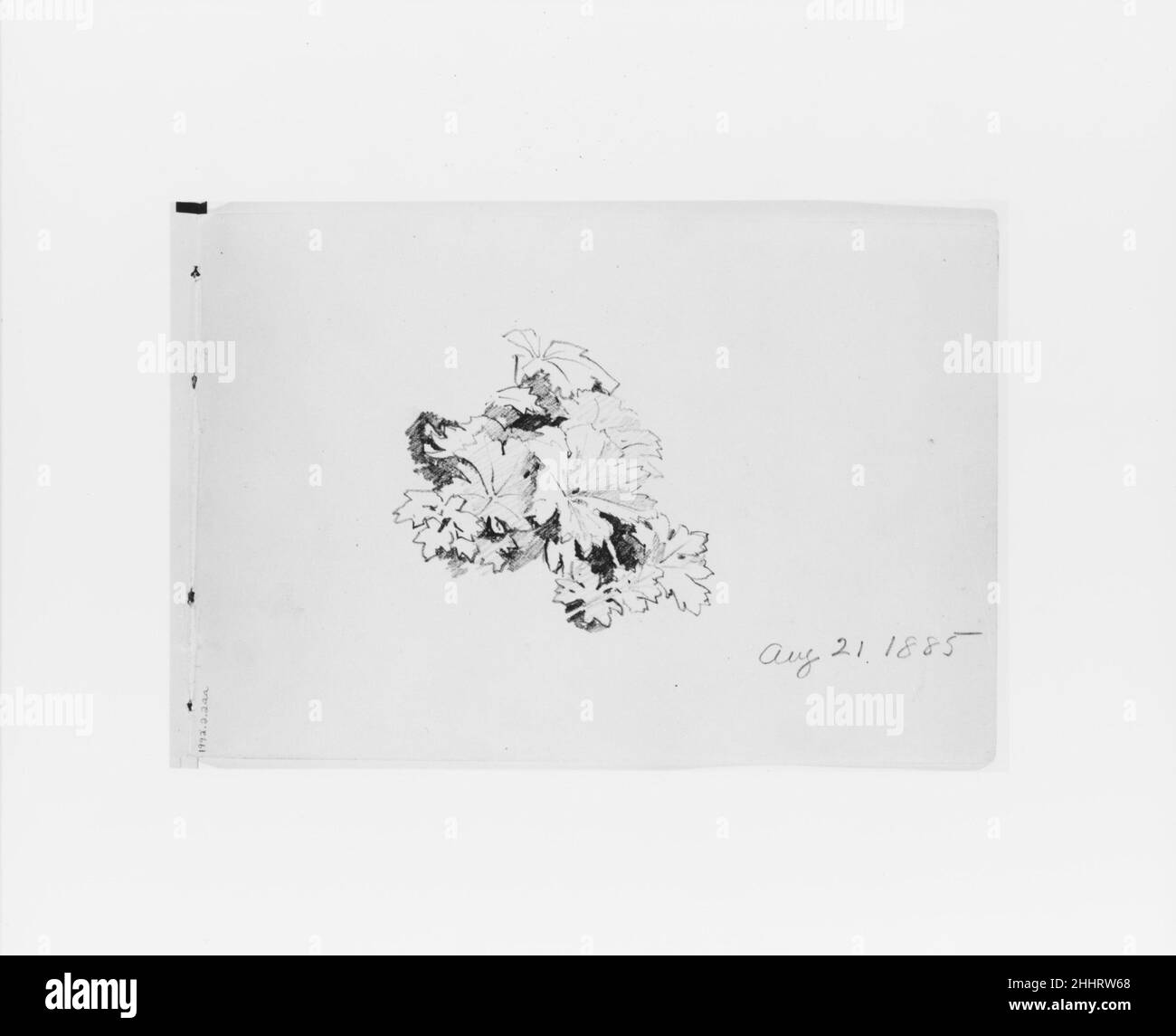 Aug 21 1885: Nature Study (aus Sketchbook X) 1885 William Trost Richards American Dieses Skizzenbuch enthält 51 Zeichnungen in Graphit und Tinte, hauptsächlich von Landschaften des pazifischen Nordwestens und Meeresmotive. Die Ergänzung der Sammlung dieses und eines weiteren Skizzenbuches (1992,2.1) von New England und Pennsylvania über Landschaft und Meeresmotive durch Richards ergänzt die Palette der grafischen Leistungen des Künstlers nahezu. Die Bücher sind bemerkenswert sowohl für hochgearbeitete Kompositionen als auch für Seiten mit schnellen Notizen, die wahrscheinlich bei Spaziergängen durch das Land entstanden sind Stockfoto