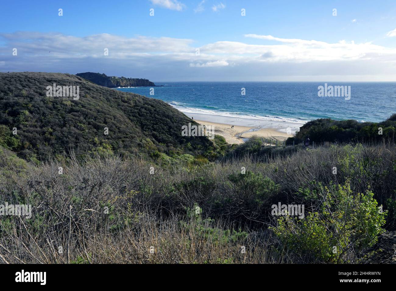 Der Blick auf das Ufer mit grünen Hügeln und das Meer im Hintergrund. Kalifornische Küste. Stockfoto