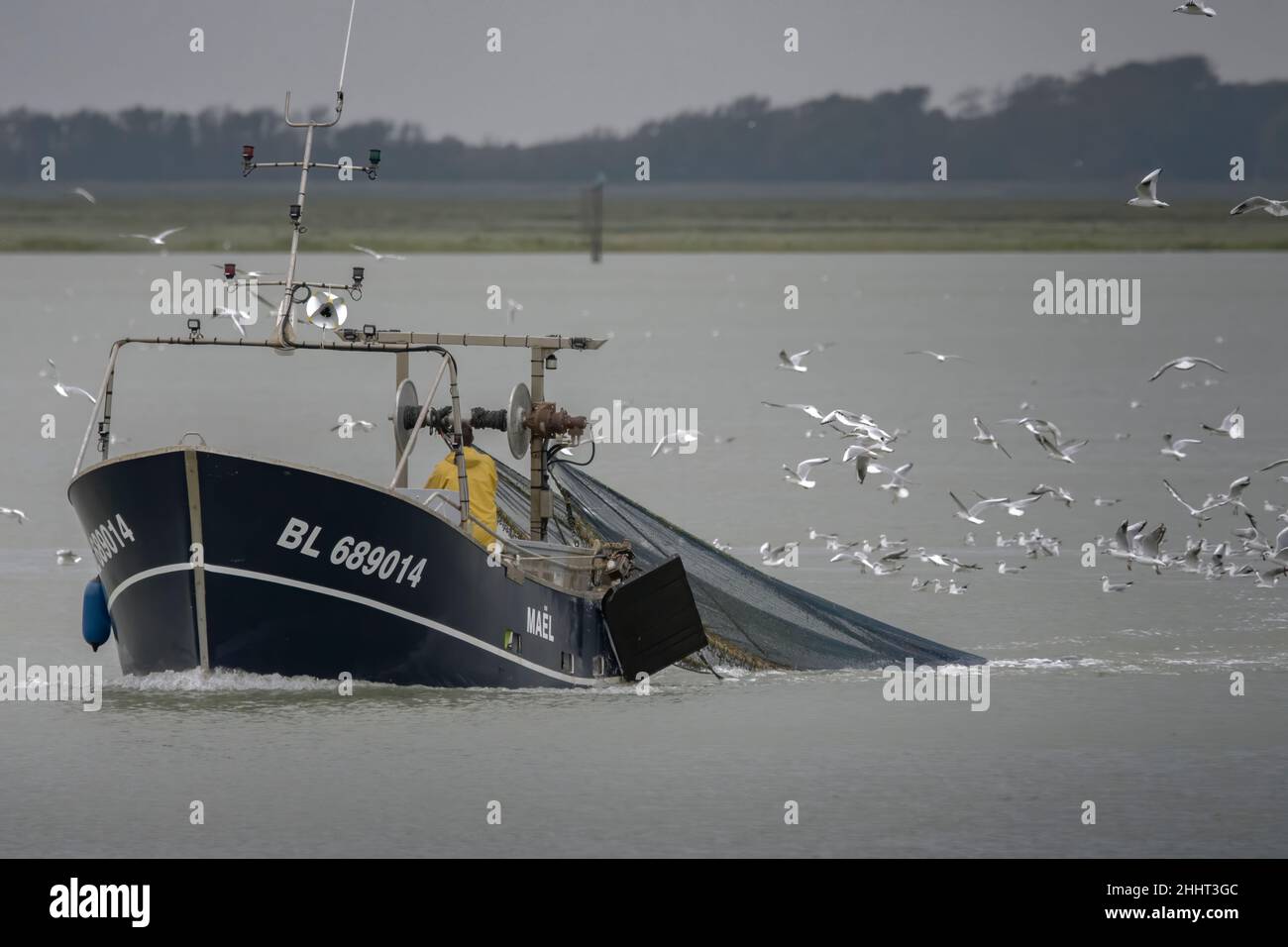 Pêcheur en baie de Somme, bateau de pêche Stockfoto