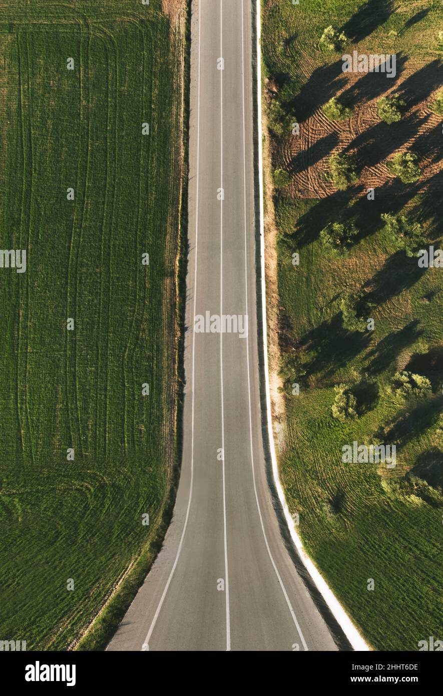 Luftaufnahme einer nach oben geschwungenen Straße mit Olivenbäumen. Stockfoto