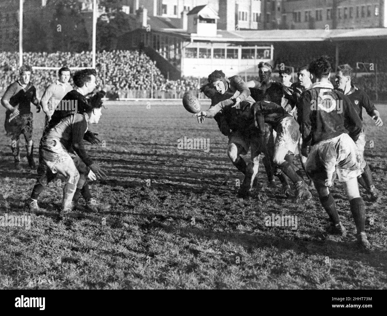 Internationales Rugby-Spiel von Wales gegen Schottland im Cardiff Arms Park. Als Roy John angegangen wird, spielt er Alan den Ball nach vorne. 2nd. Februar 1952. Stockfoto