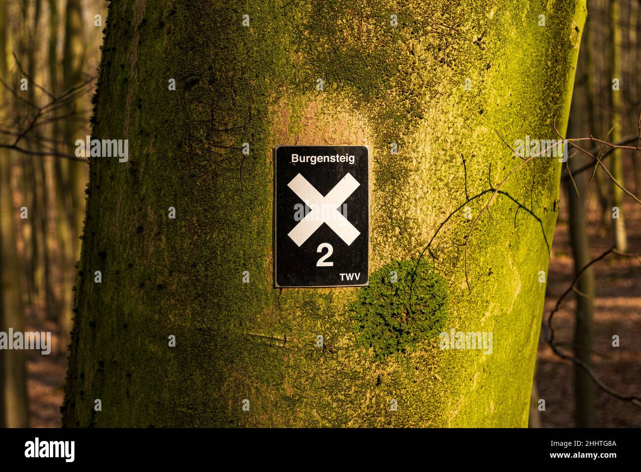 Wegweiser für den Wanderweg „Burgensteig X2“ auf einem Baum in Kalletal, Ostwestfalen-Lippe, Nordrhein-Westfalen, Deutschland Stockfoto