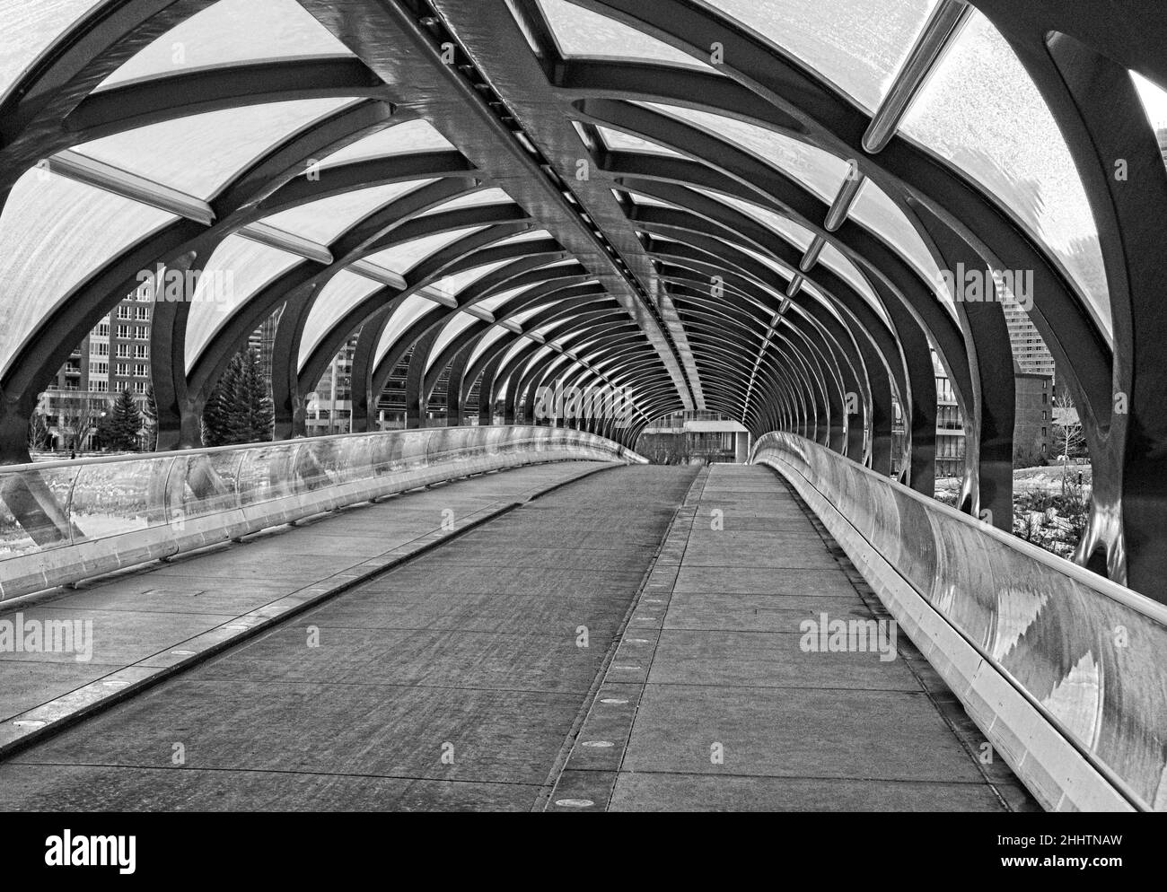 Schwarz-weiße Friedensbrücke Calgary Alberta Stockfoto