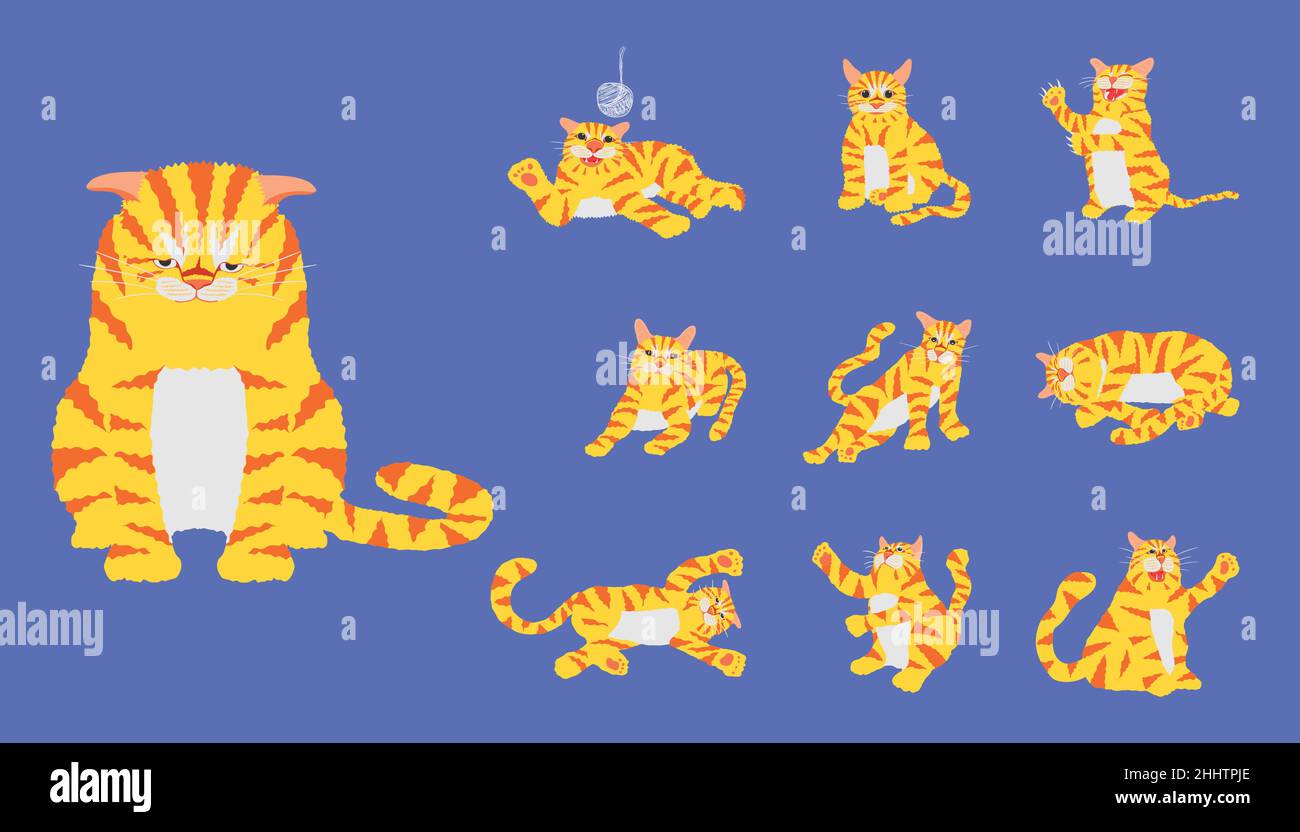 Set der schönen gelb und orange gestreiften Katze Flop und spielen Aktivität auf pastellblauen Hintergrund. vektor-Illustration EPS10 Stock Vektor
